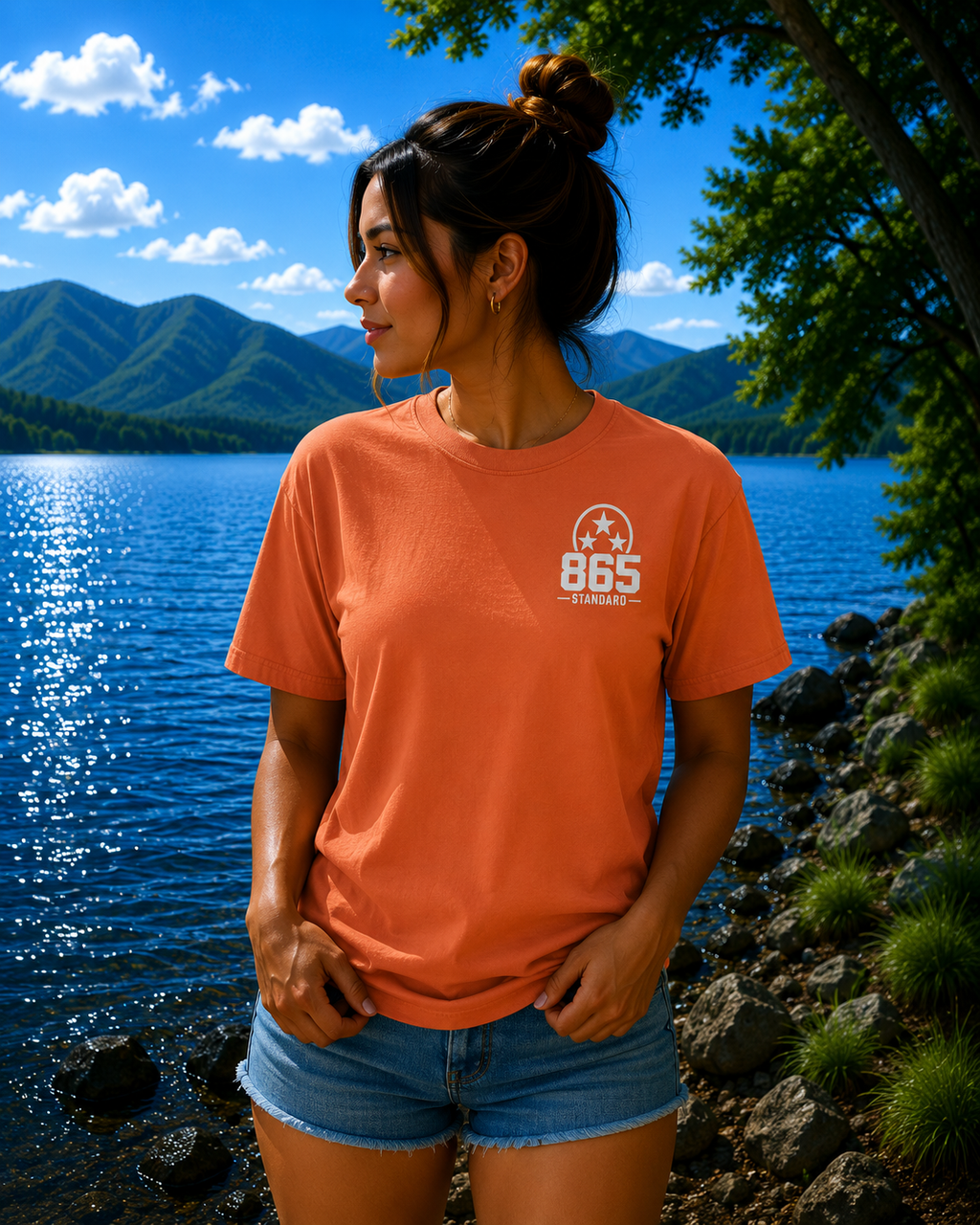 865 Standard – Sunset Drift
