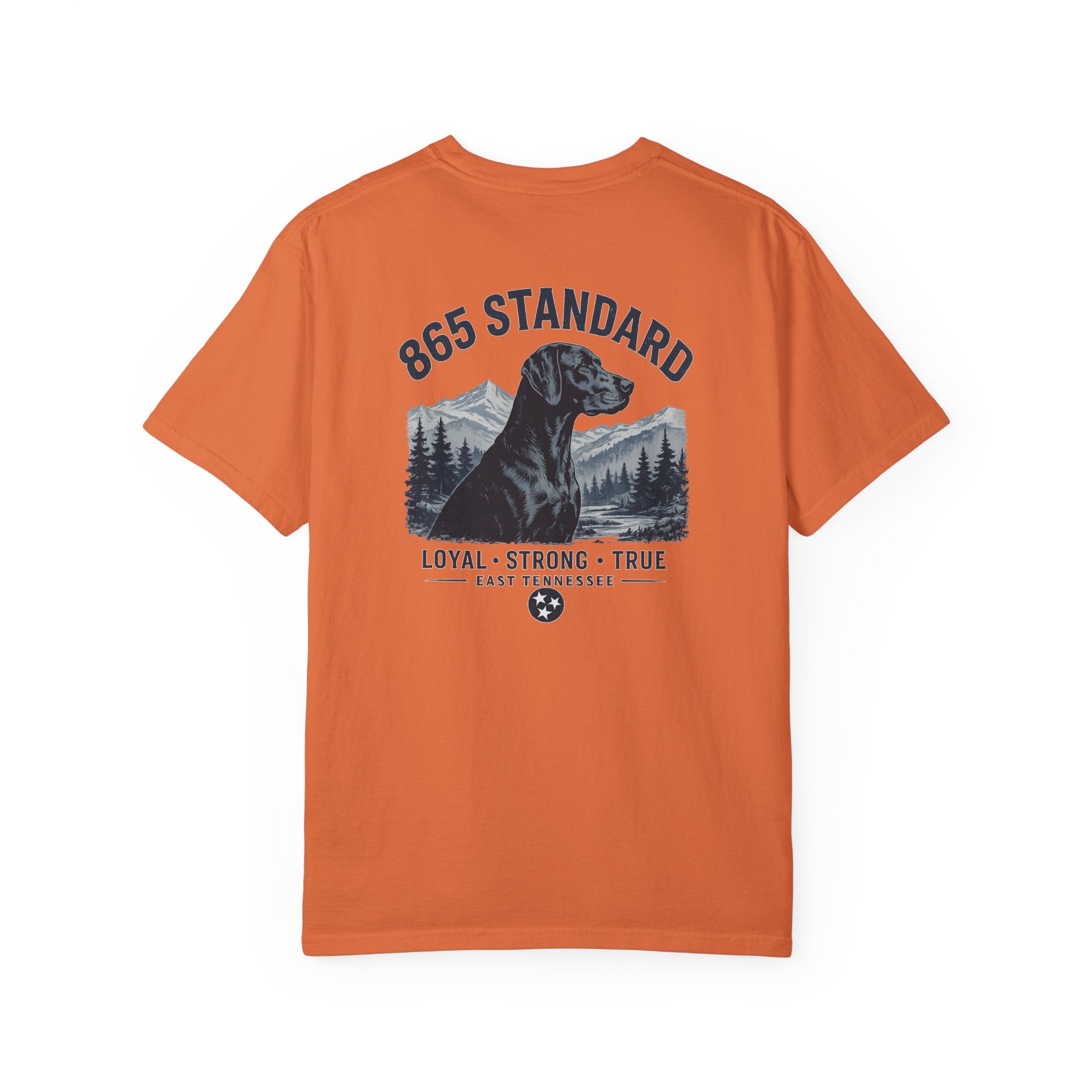 865 Standard Heritage Lab